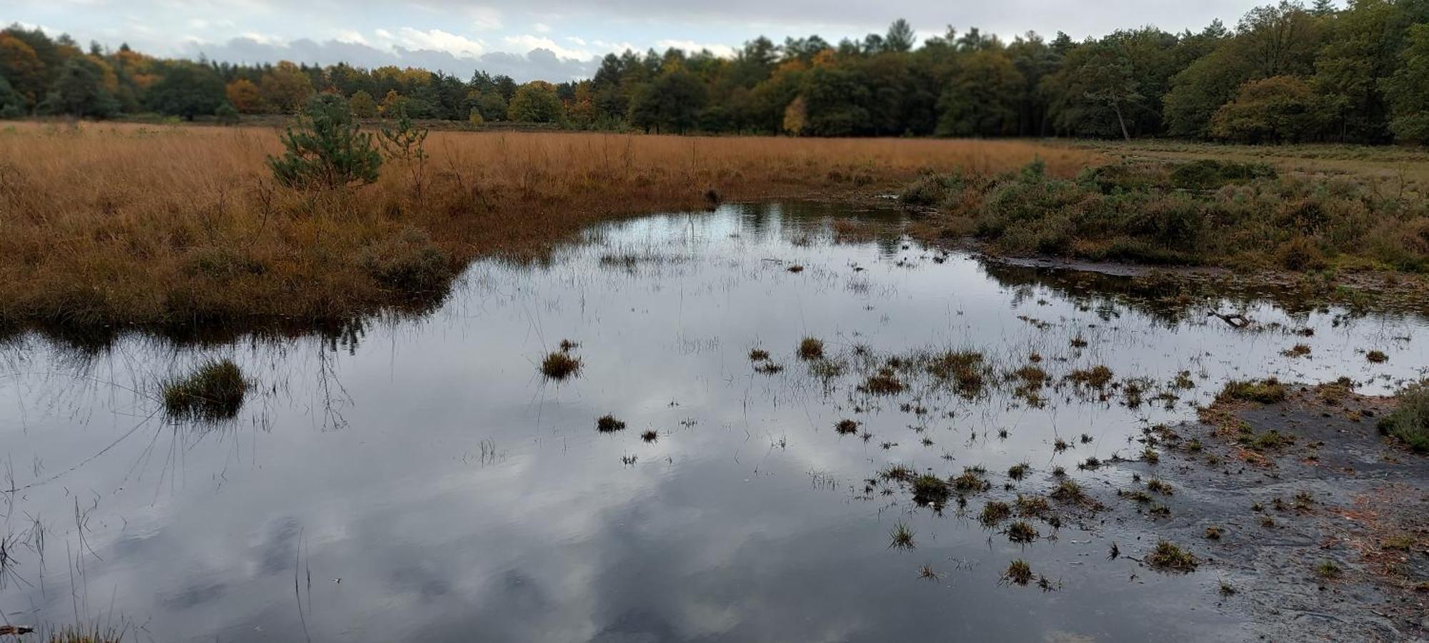 Mooi Drenthe Villa Wezuperbrug Eksteriør billede