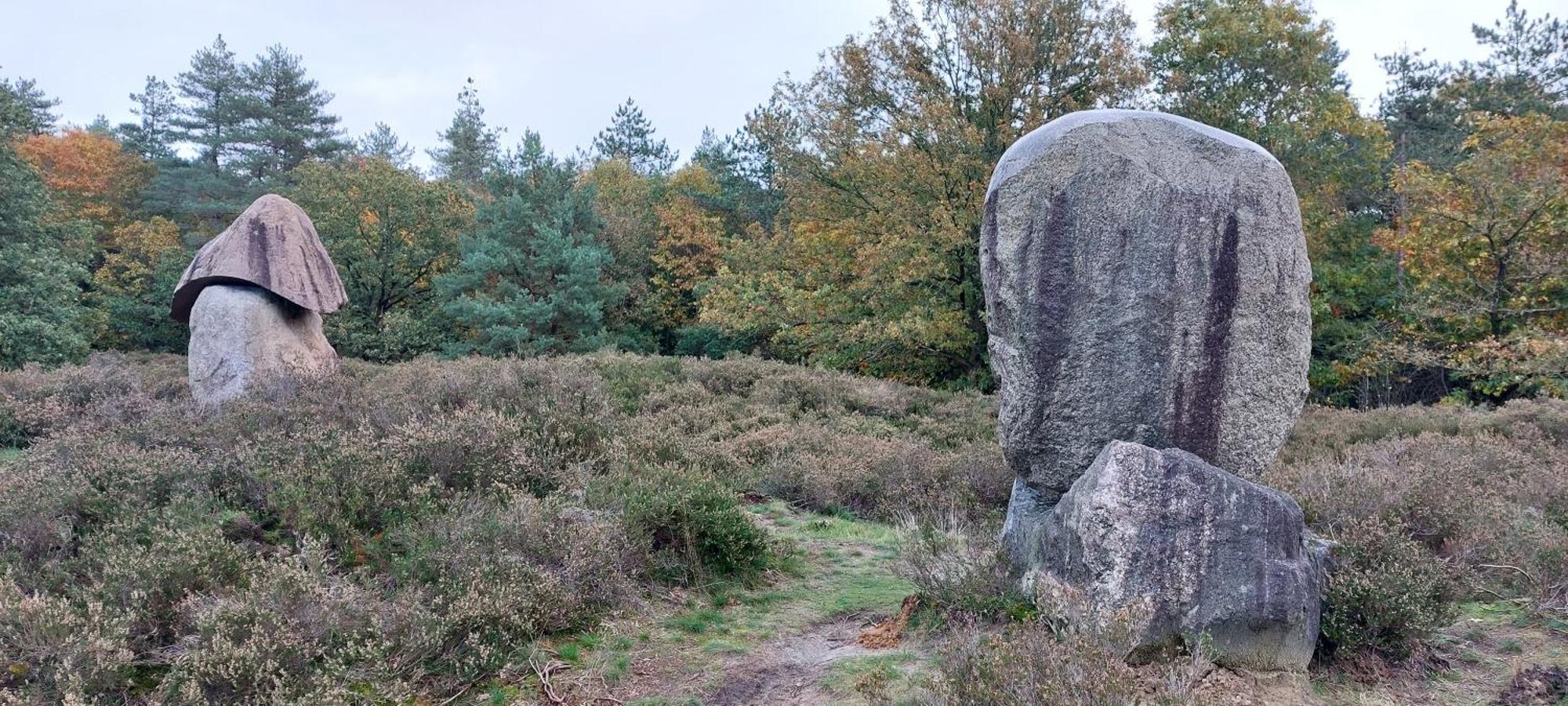 Mooi Drenthe Villa Wezuperbrug Eksteriør billede
